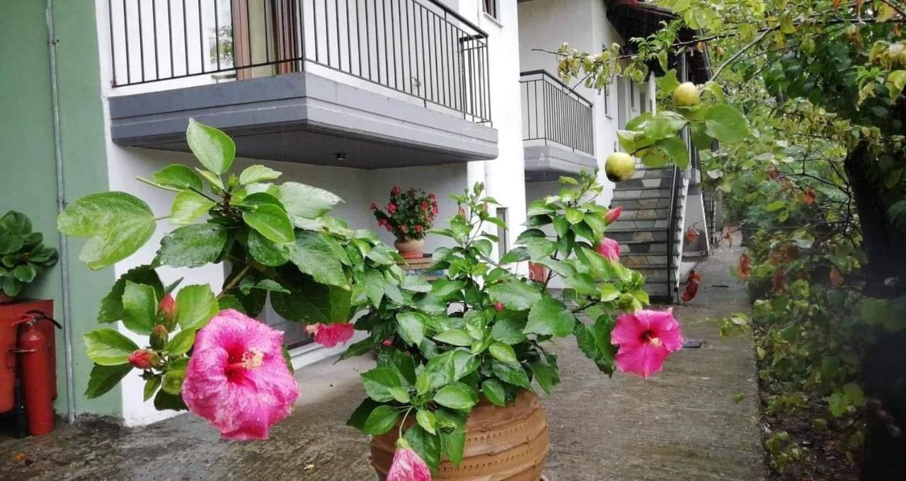 Meteora Garden Bed & Breakfast Kalampáka Eksteriør bilde